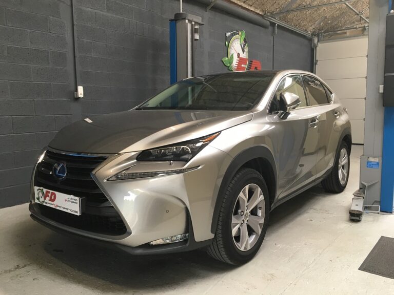 LEXUS NX 300