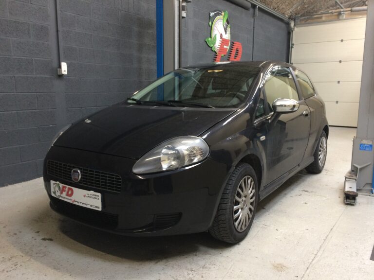 fiat punto ethanol