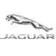 jaguar-2